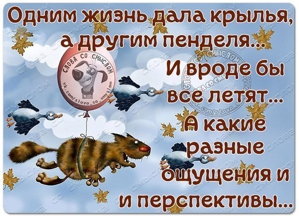 IQ (idiotic question): о восприятии одиночества