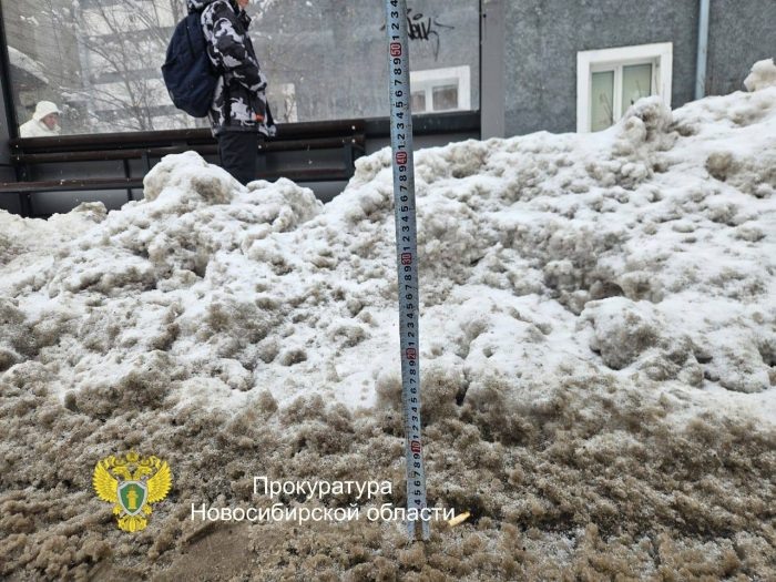 Фото: прокуратура Новосибирской области.