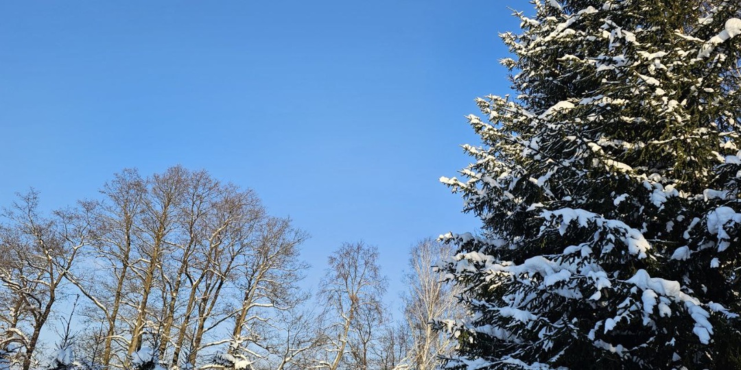 Из Москвы в Сумароково: как я строю усадьбу мечты с прудом 20х45 м. План переезда к 1 мая.