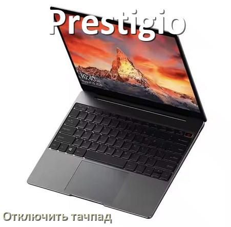 
Как отключить тачпад ноутбука Prestigio на Windows 10 и 11