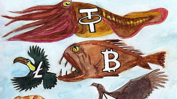    ИГОРЬ ШАПОШНИКОВ