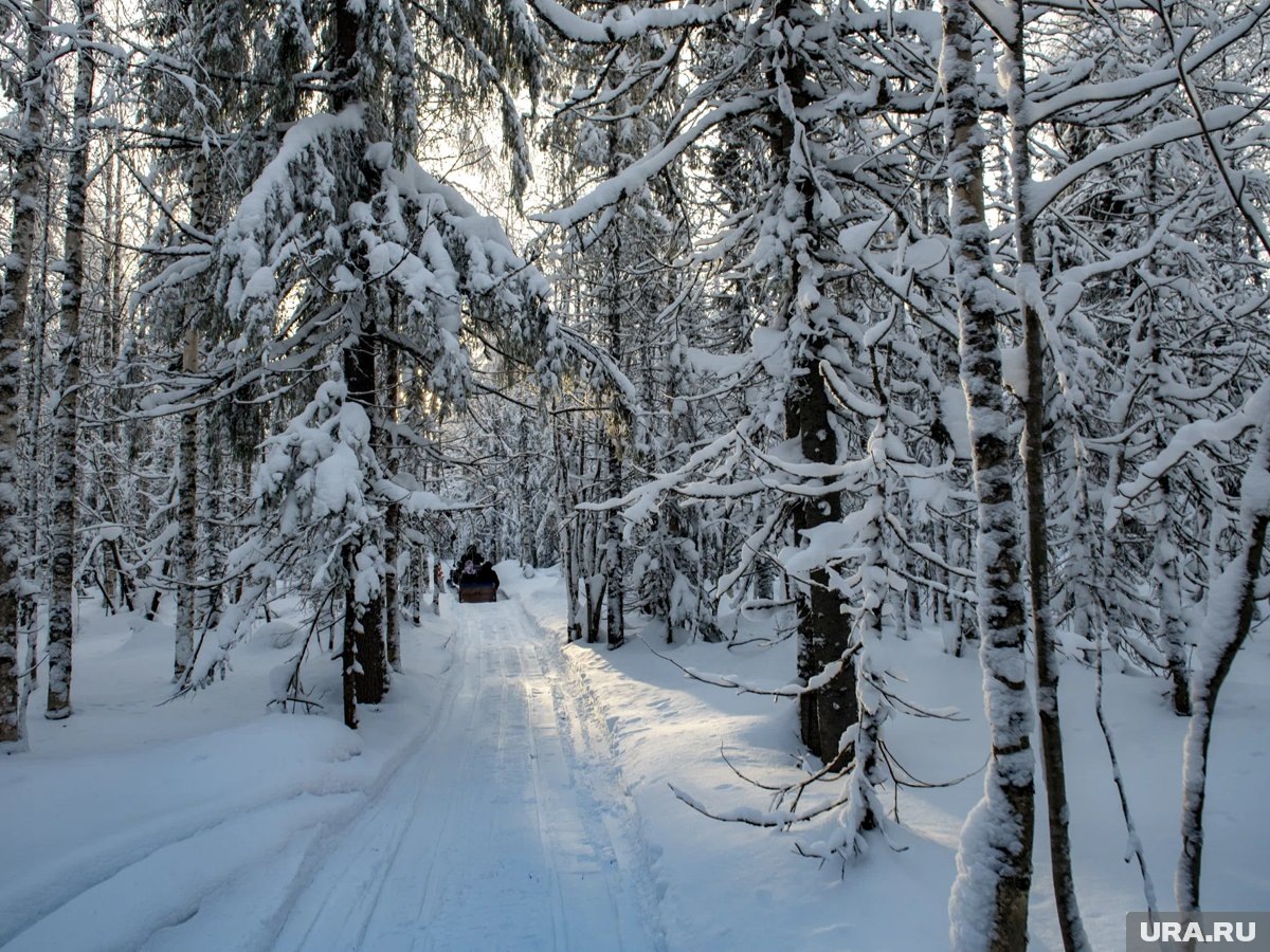     Поиски Усольцевых возобновят ближе к весне, когда спадет снежный покров