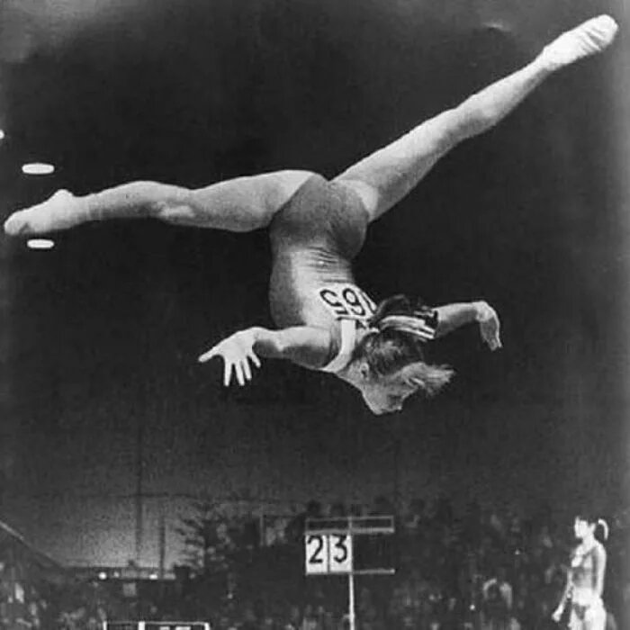 Изображение взято из открытого источника