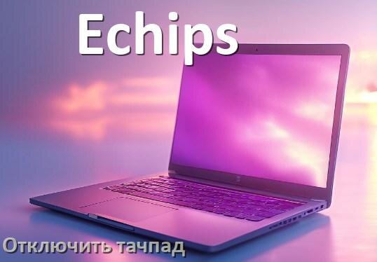 
Как отключить тачпад ноутбука Echips на Windows 10 и 11