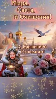 Из открытых источников интернета 