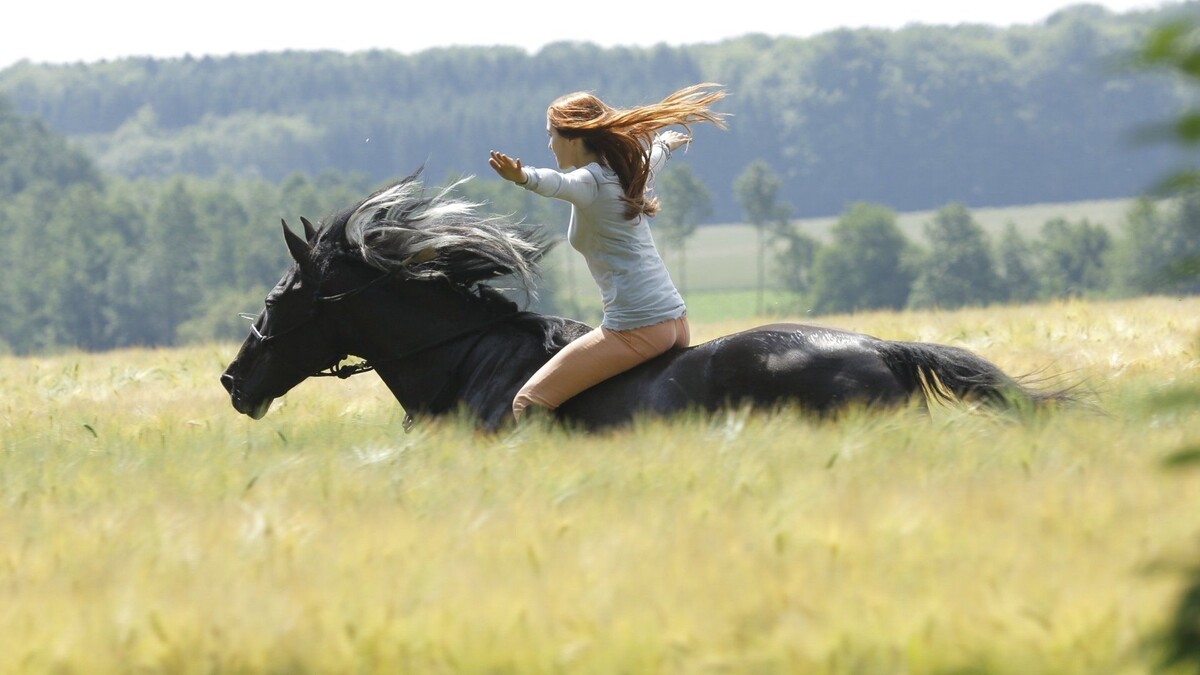 источник Яндекс