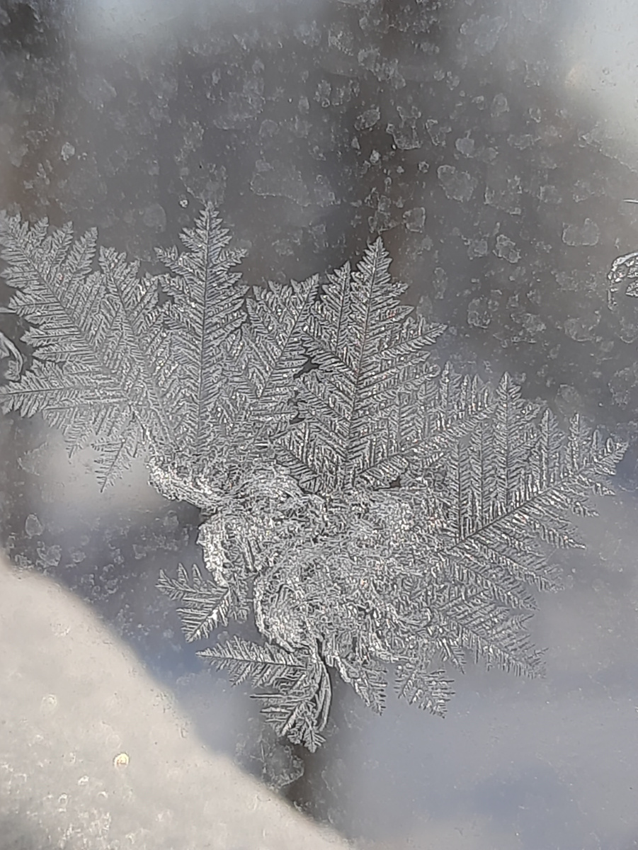 Морозные узоры