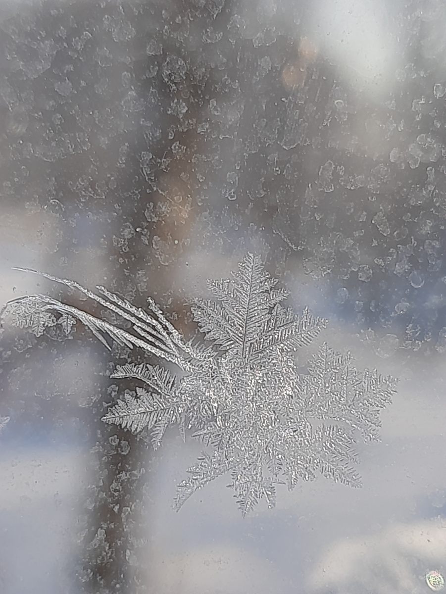 Морозные узоры