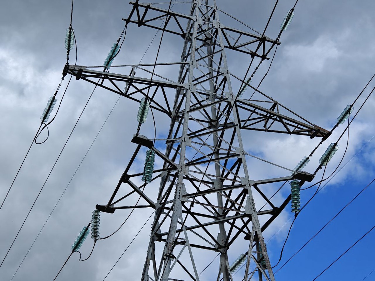    Фото: Юрий Серебренников/BFM Кубань