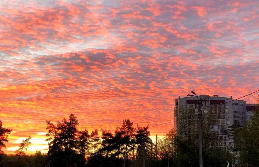   Вести ПК.