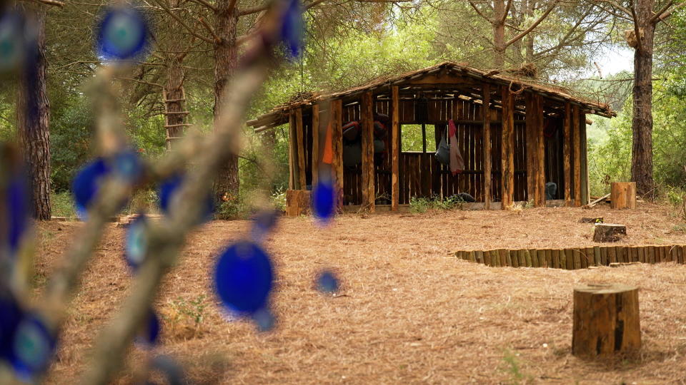    Шоу "Выжить в Стамбуле". Источник: Пресс-служба ТНТ