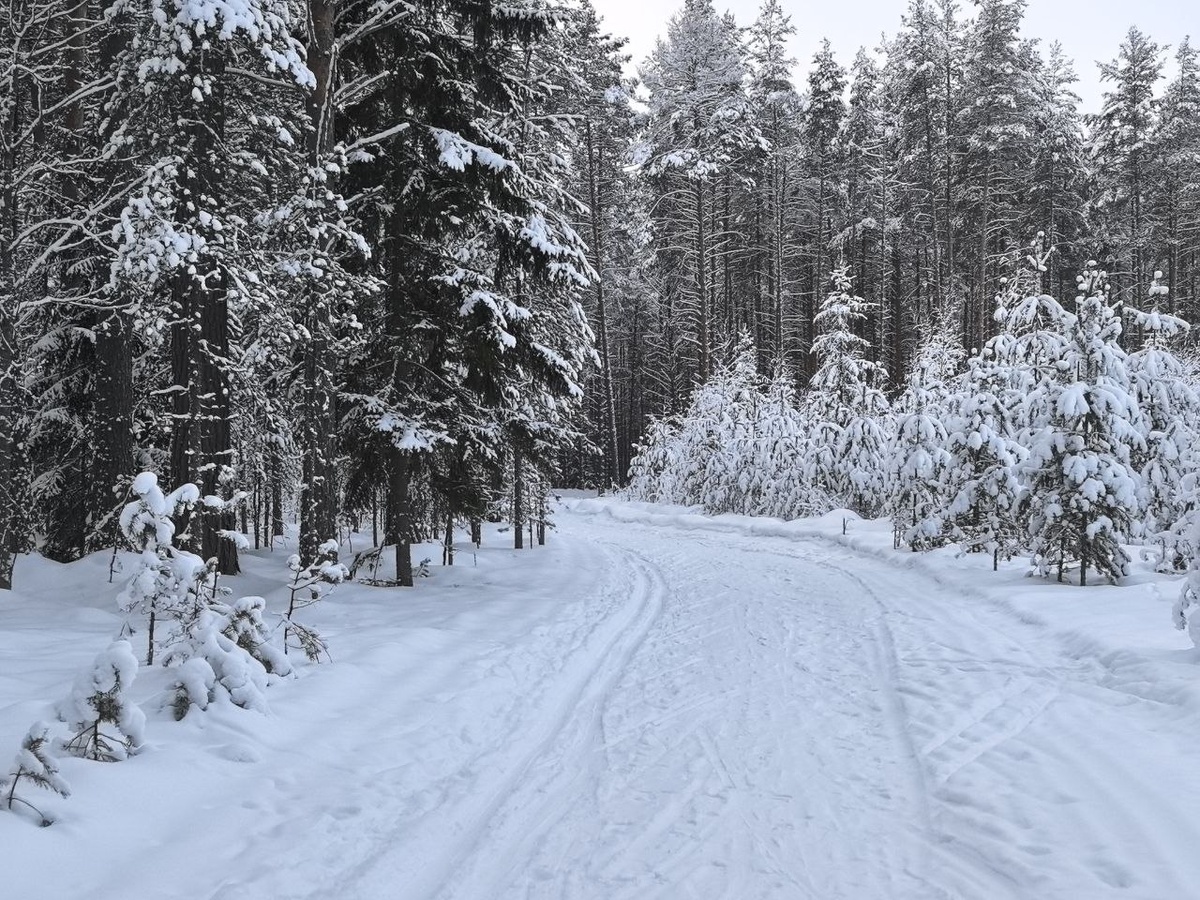 Холодная ложбина определяет погоду в Приморье.  Фото: Фото: ФедералПресс / Ксения Кобалия