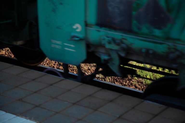    Фото: Общественная Служба Новостей Татьяна Шароватова