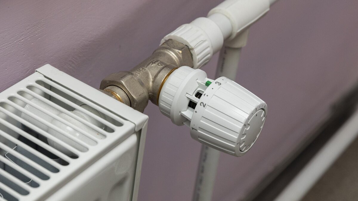    Фото: Aleksey Smyshlyaev/Global Look Press