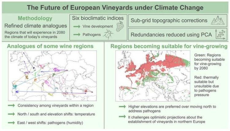    Фото: Agricultural and Forest Meteorology (2026). DOI: 10.1016/j.agrformet.2025.110978