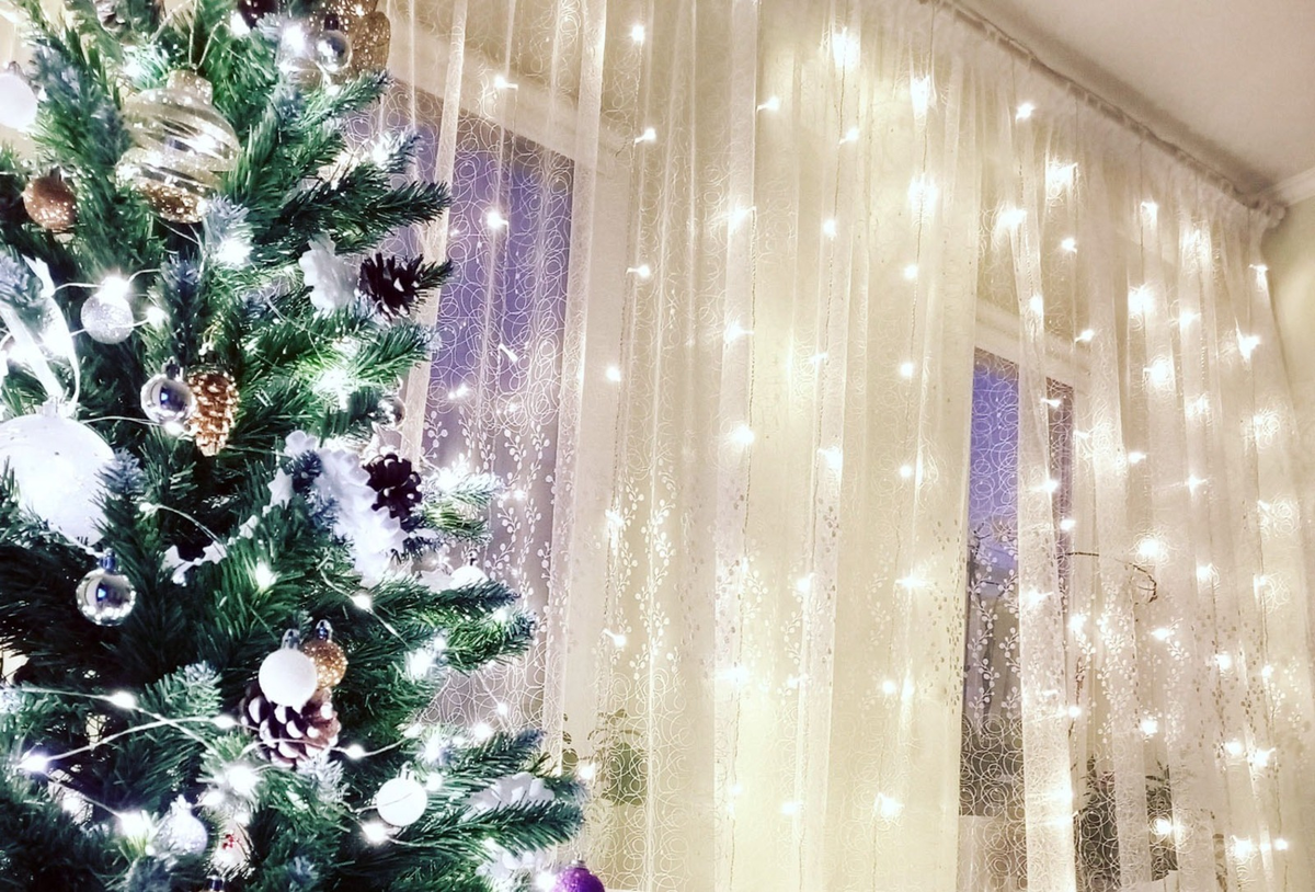 Фото: Артур СМОЛОВ