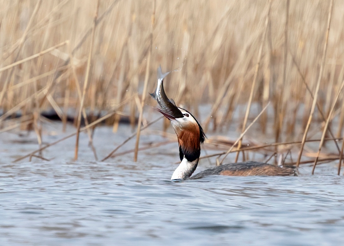    фото: © Анна Редькина / VK