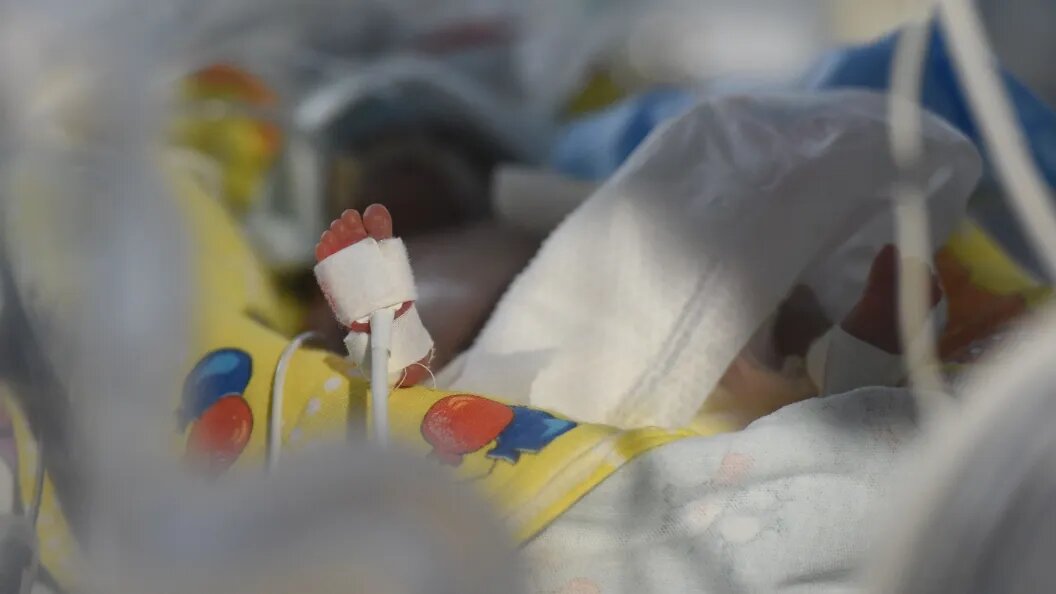    Фото: Олег Рукавицын