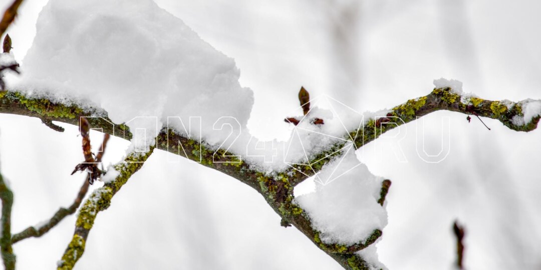 ИИ-синоптик: В Ростове холодно, днем до –11 °C