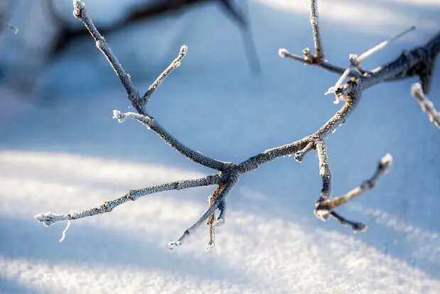    Фото: lenta.ru Мария Михайлова