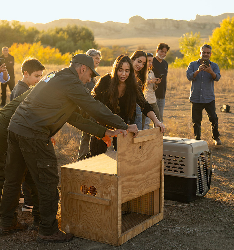 Вице-президент Фонда Гейдара Алиева, основатель и руководитель Общественного объединения IDEA Лейла Алиева вместе с руководителем Baku Media Center АрзуАлиевой приняли участие в выпуске животных
