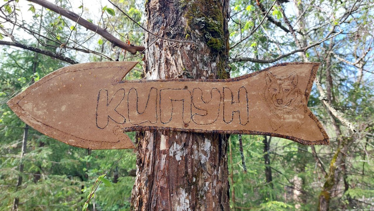 Указатель на "Кипун".