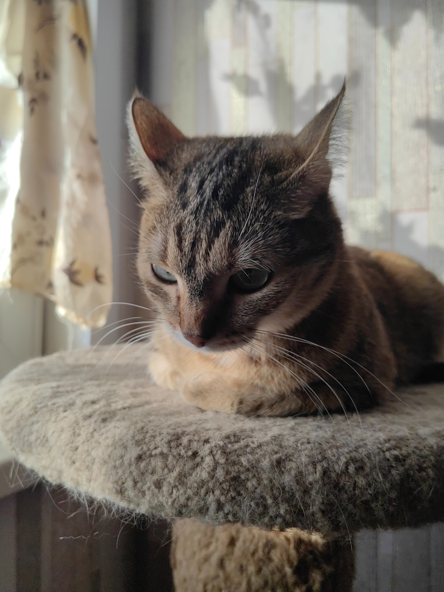 Буся выразила своё недовольство: "Ходют тут всякие..."