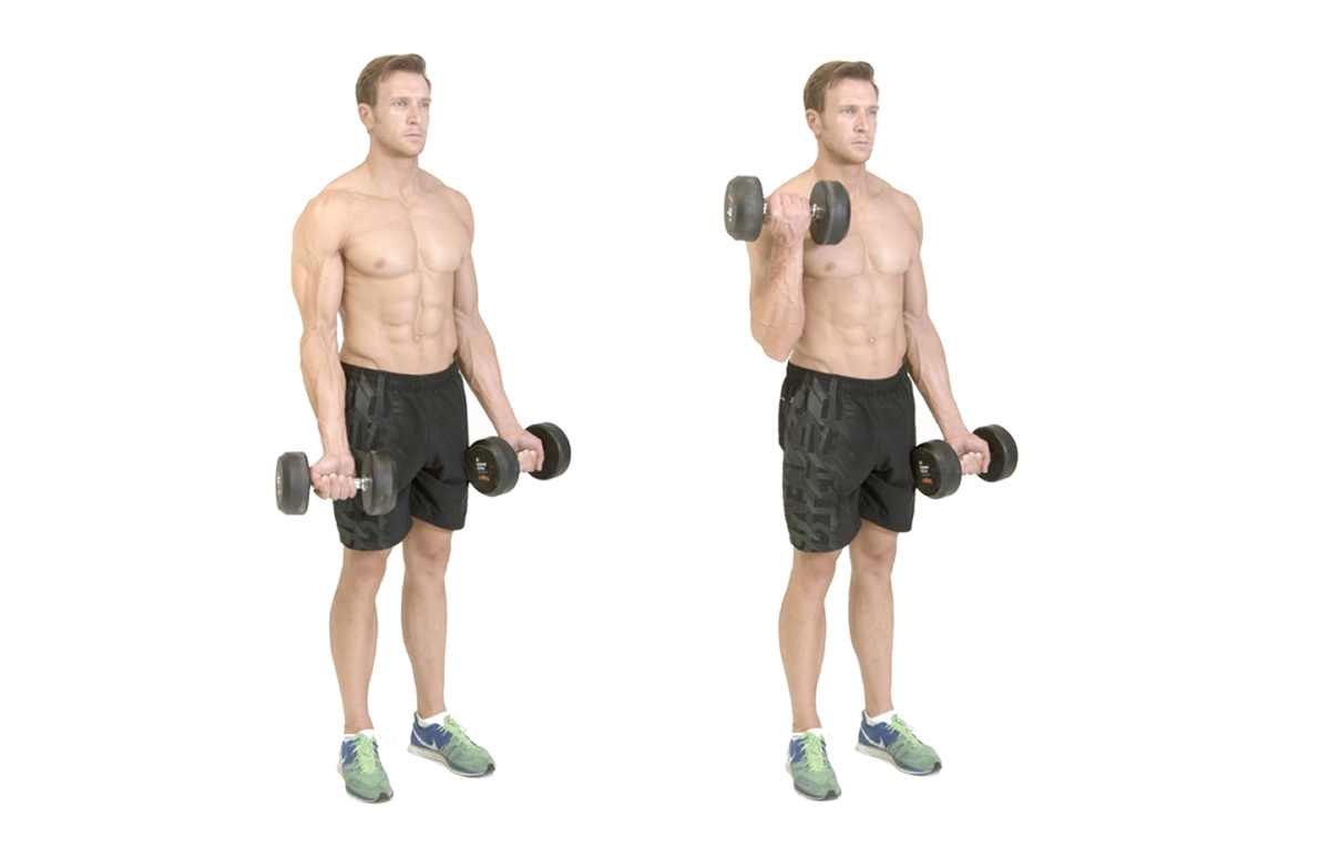 Изображение взято из открытого источника