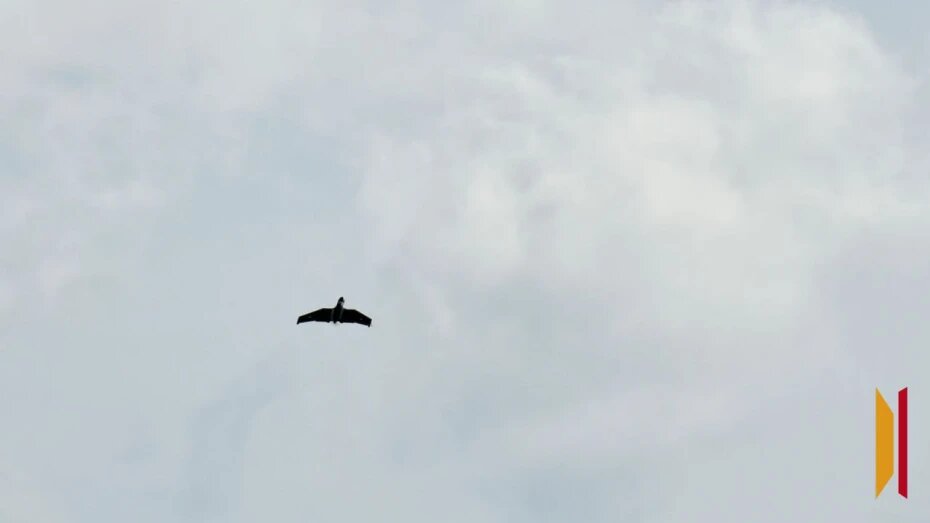    Автор фото: Из архива РИА «Воронеж»