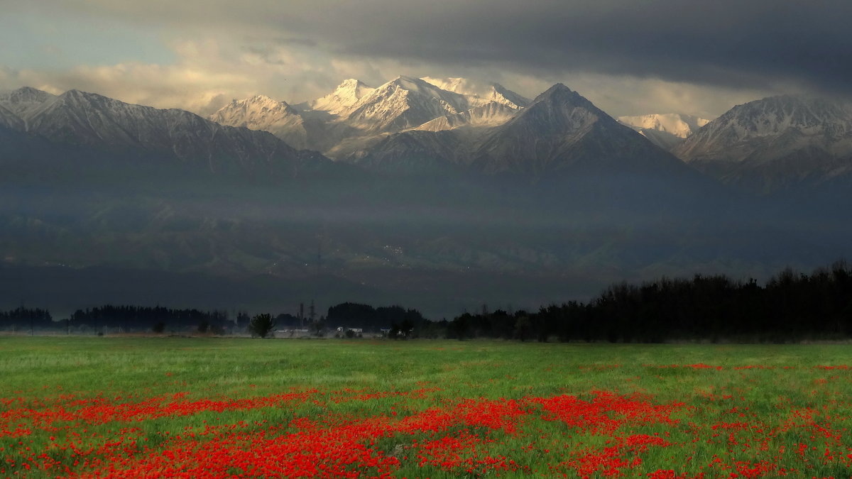 До сих пор, сняться мне.