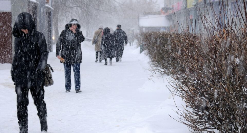    Медиасток.рф