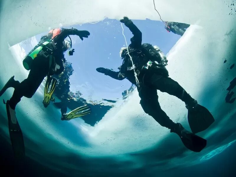 Фото: istockphoto.com / LaSalle-Photo