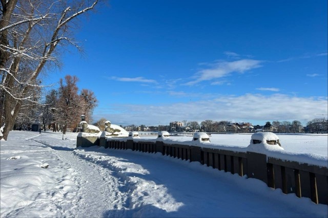   Фото из архива Калининград.Ru