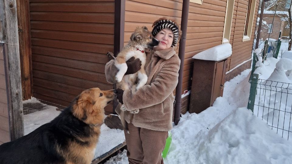 Как один якутенок помог найти дом другому спасенышу🥹