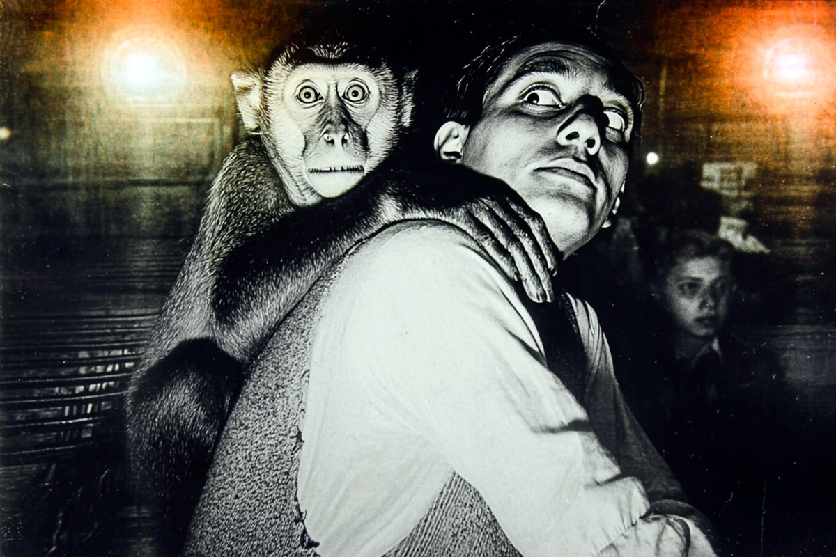 Они уверены в своей правоте, гордятся ролью и не подозревают, что стали ключевыми персонажами в чужом спектакле, где всё — иллюзия