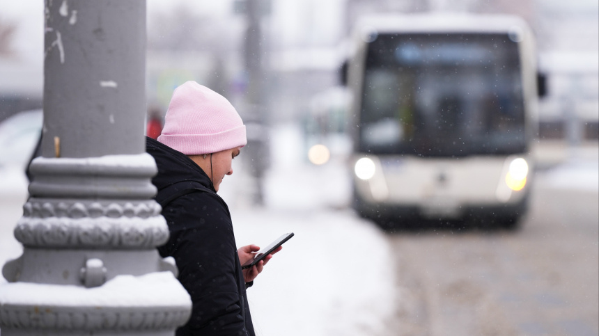    Фото: ИЗВЕСТИЯ/Дмитрий Коротаев; 5-tv.ru