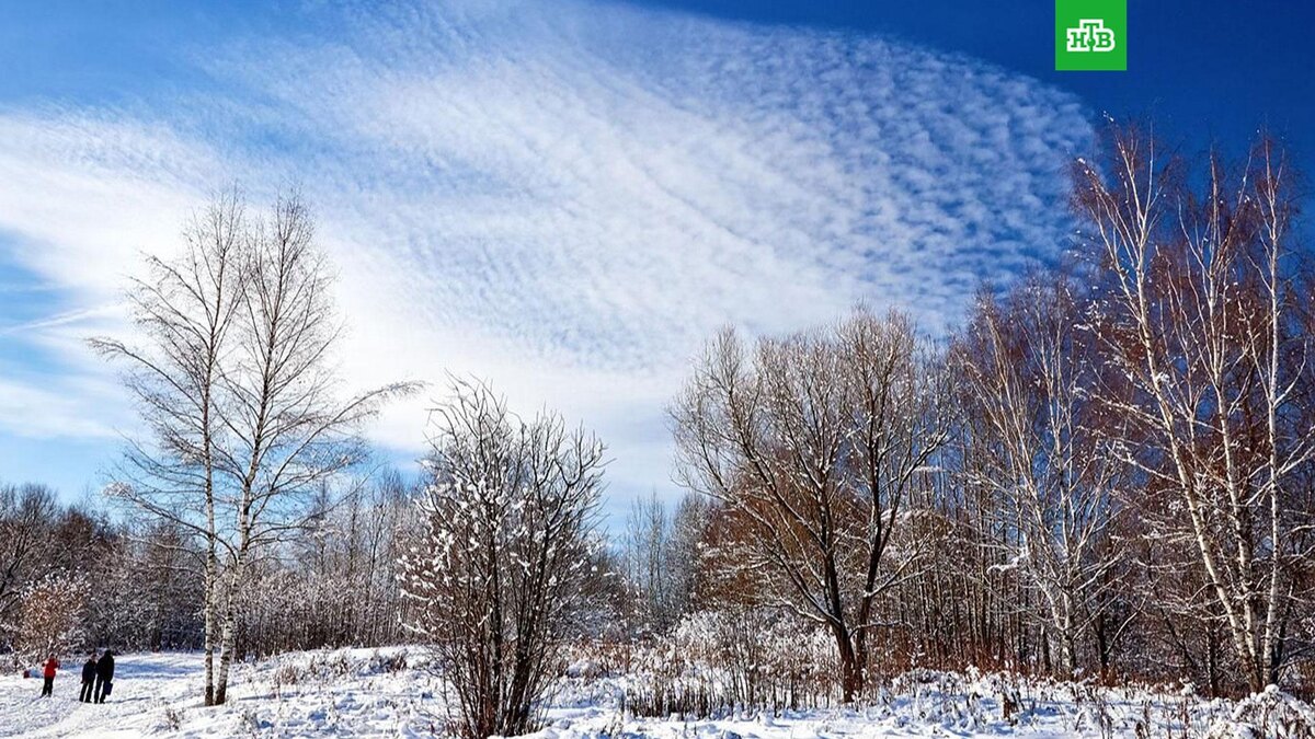    Фото: Максим Денисов / mos.ru