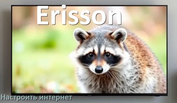 
Как на телевизоре Erisson настроить интернет через Wi-Fi или кабель