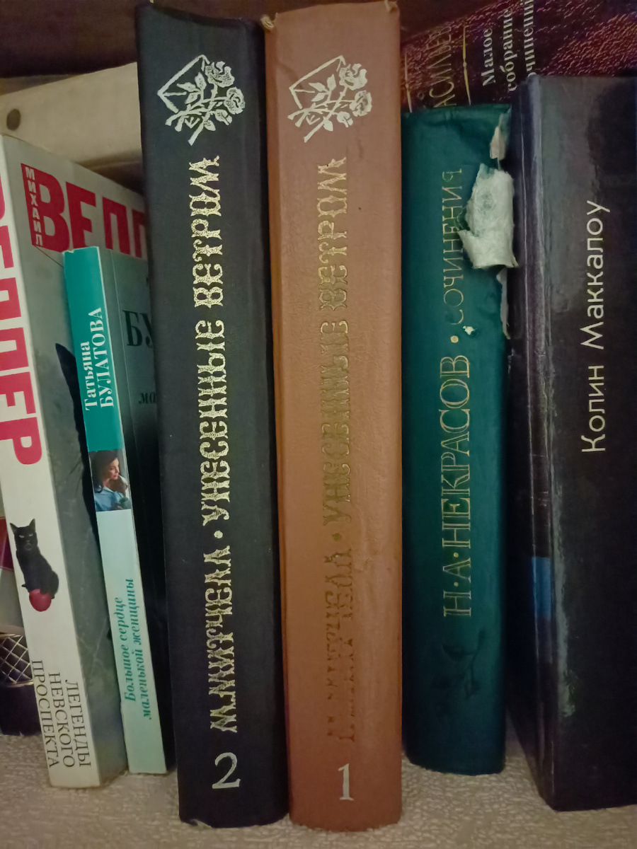 Давно не покупаю книг, а старые лежат во встроенном шкафу как попало.
