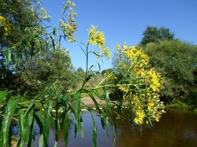 все фото - автора