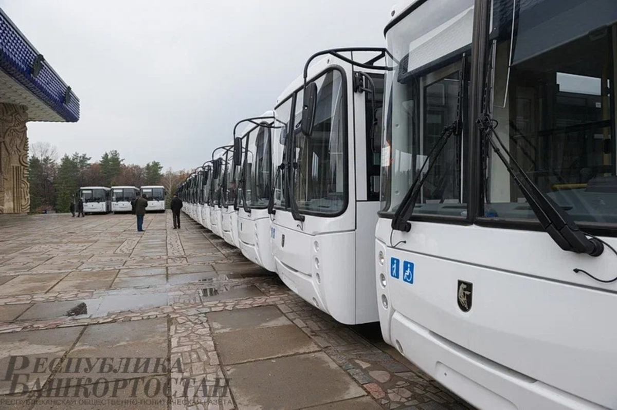 Фото: Альберт ЗАГИРОВ.