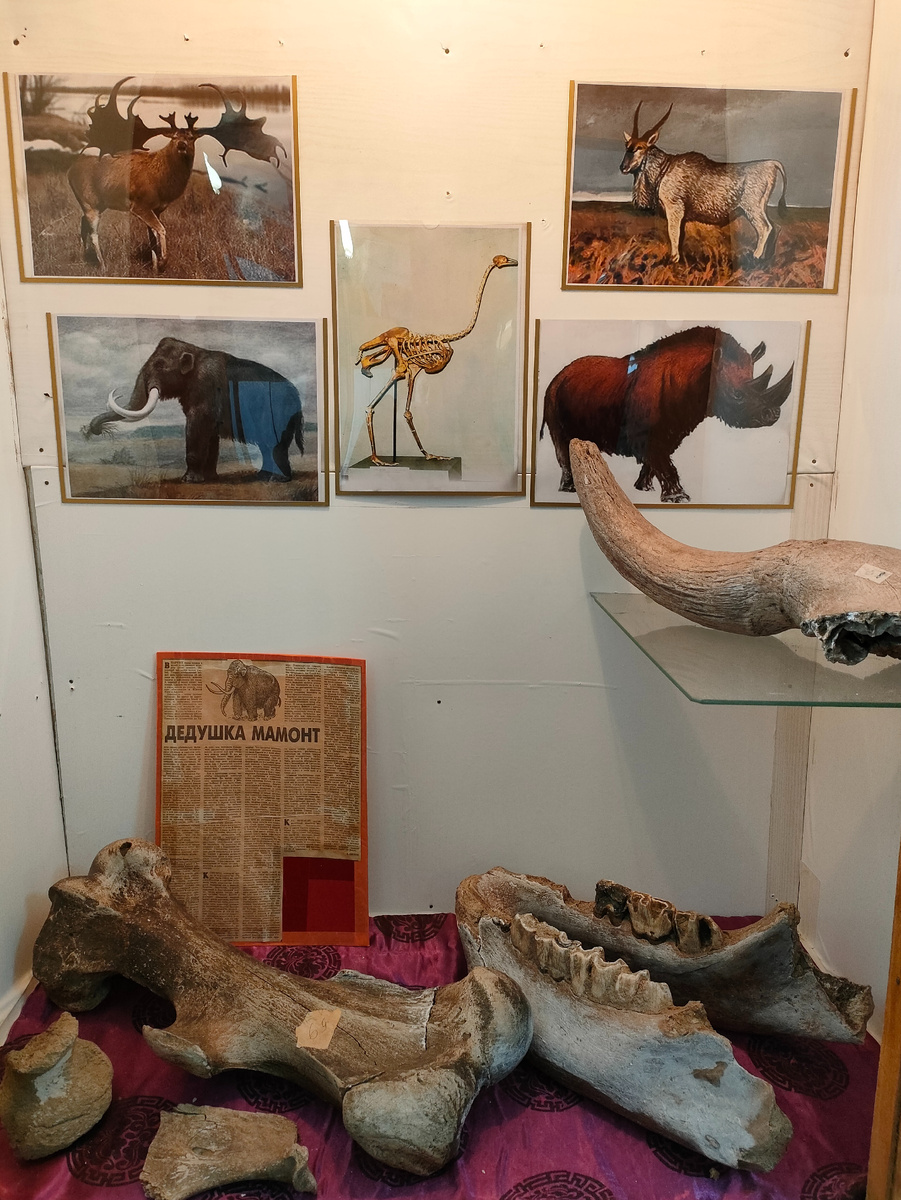 Музей В-Шергольджинской школы.