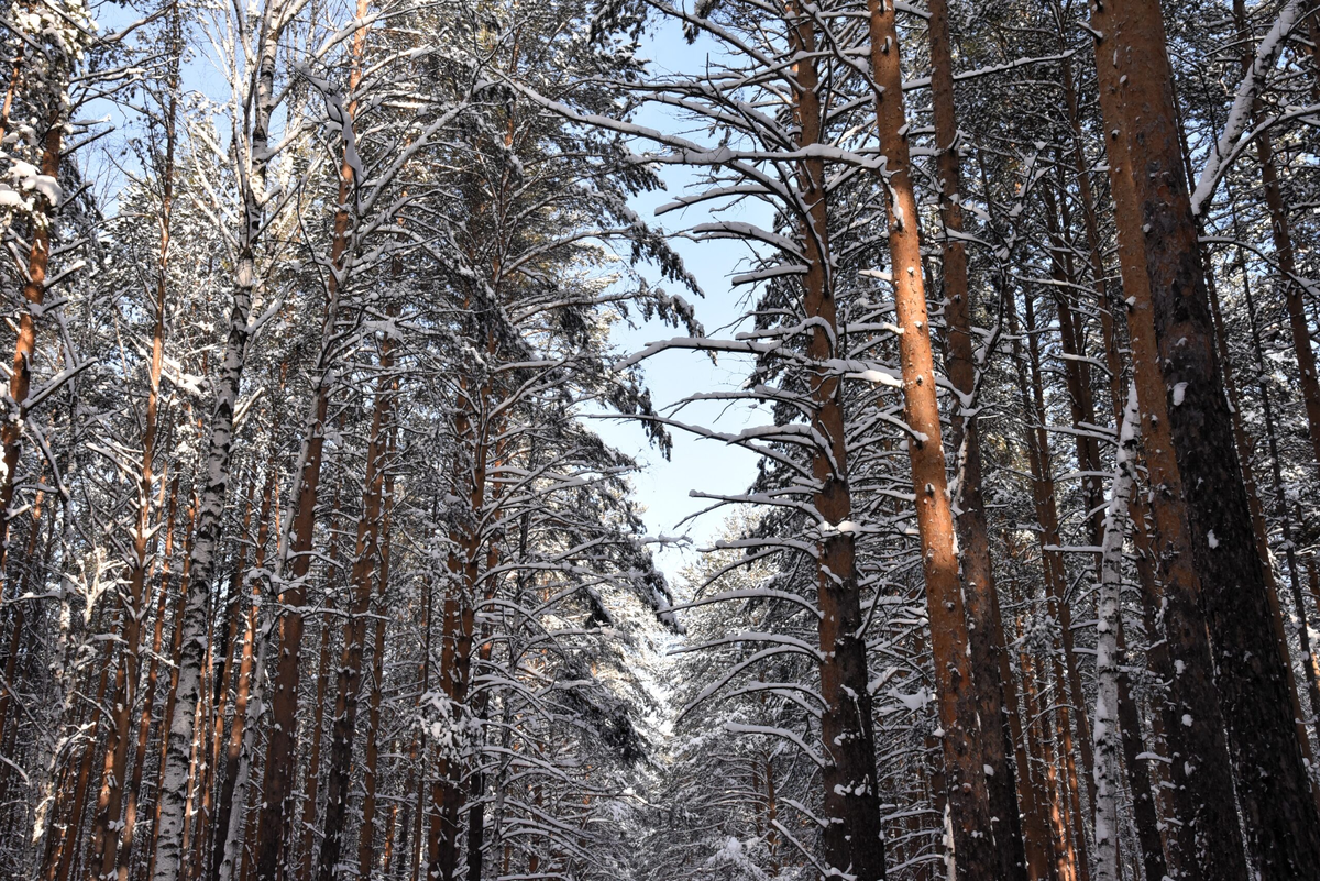 Фото: Борис Ярков, «Областная газета»
