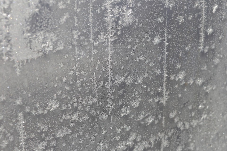    В Новосибирской области будет продолжена работа, направленная на профилактику рисков возникновения ЧС. ЛЕНЦ Мария | Архив КП