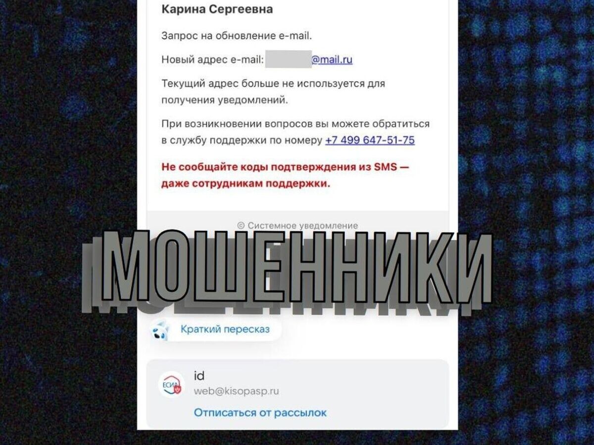    В МВД показали рассылку мошенников с запросом на обновление почты | © Вестник Киберполиции России/Telegram