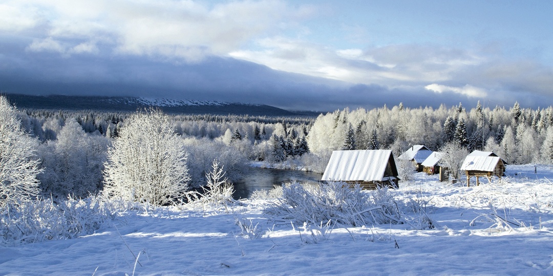 Отшельники всегда на связи