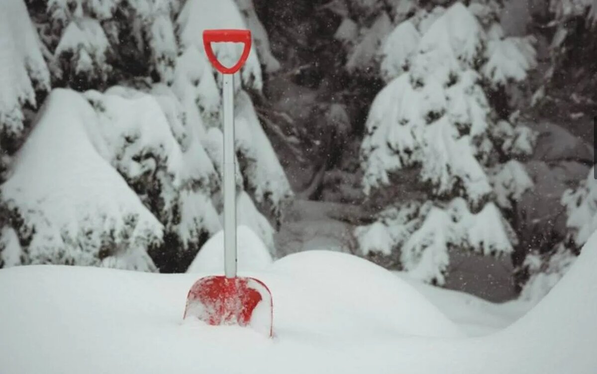    Опрос IZHLIFE: около 10% ижевчан не раз застревали в снегу из-за плохой уборки во дворах