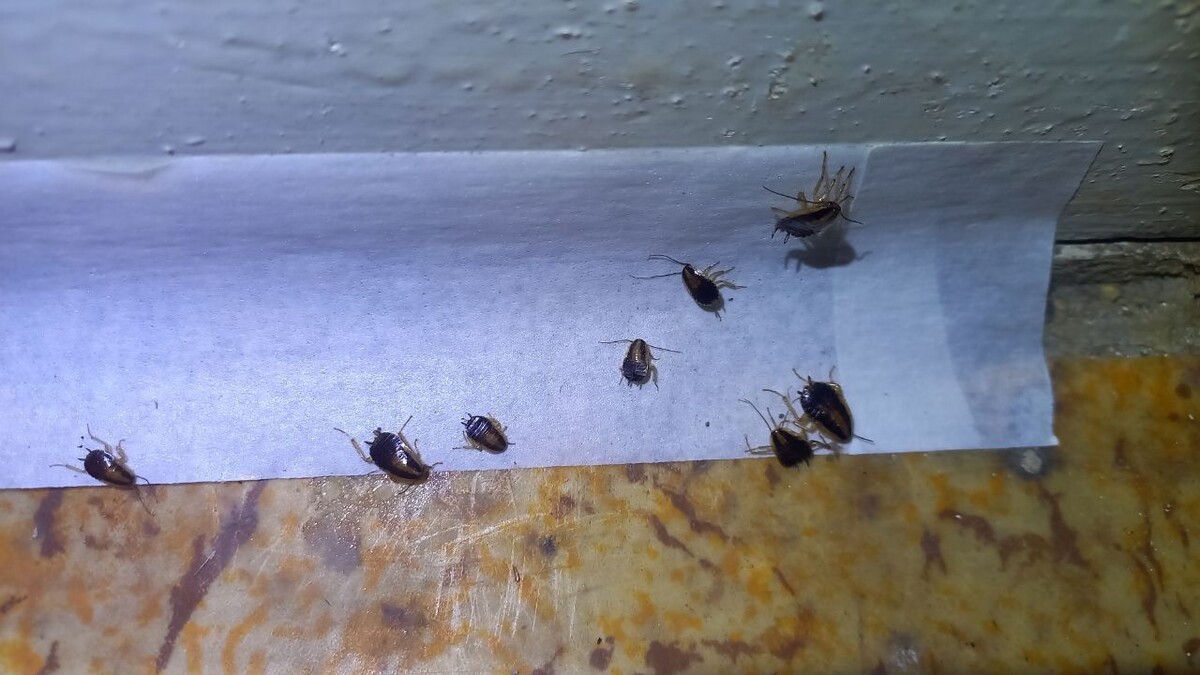    Фото: читатель «МОЁ!»