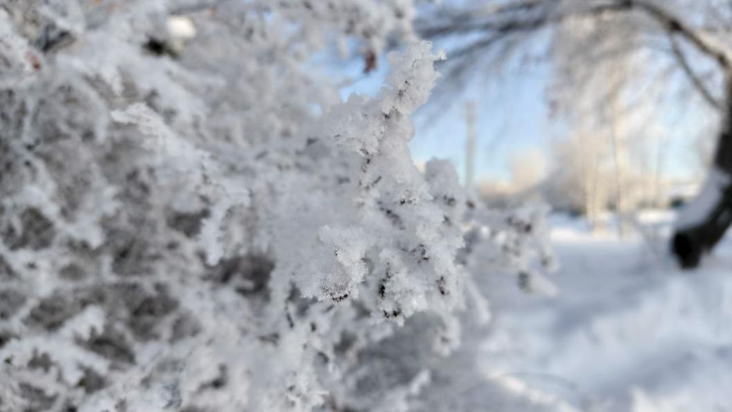 Фото: Инна Пахомова, ИА "Тюменская линия"