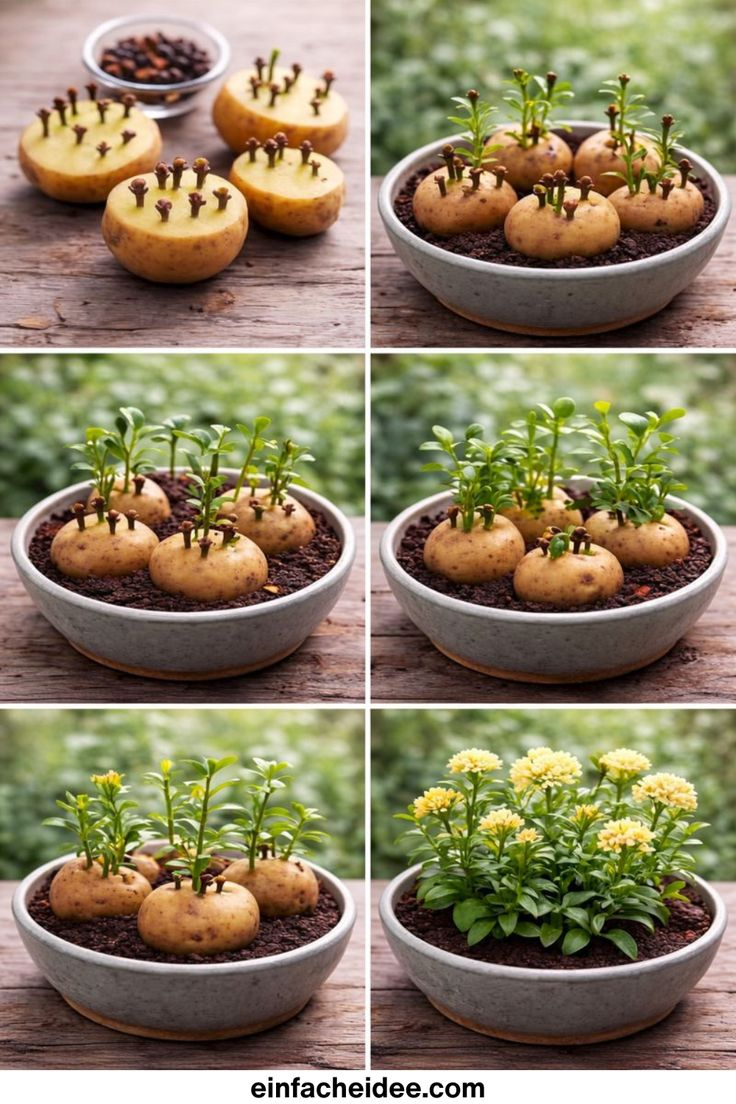 Обычно к таким статьям еще и картинки ИИ 